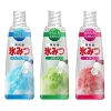 3 Flavors Shaved Ice Pack