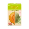 Glico Pocky Yubari Melon from Hokkaido