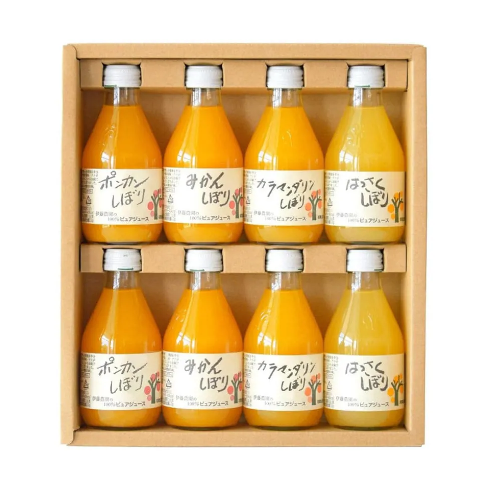 Ito Noen Wakayama Orange Juice Set of 8
