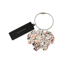 Pokemon Acrylic Key Ring: Charizard
