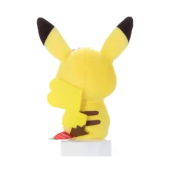 Pokemon Chokkorisan: Pikachu
