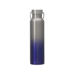 Starbucks Japan 2024 Handle Lid Bottle Gradient