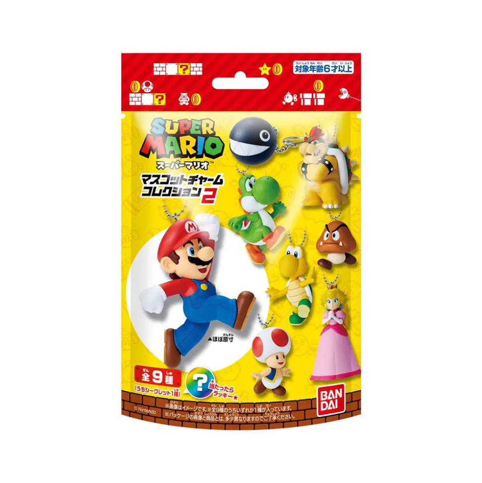 Super Mario Charm